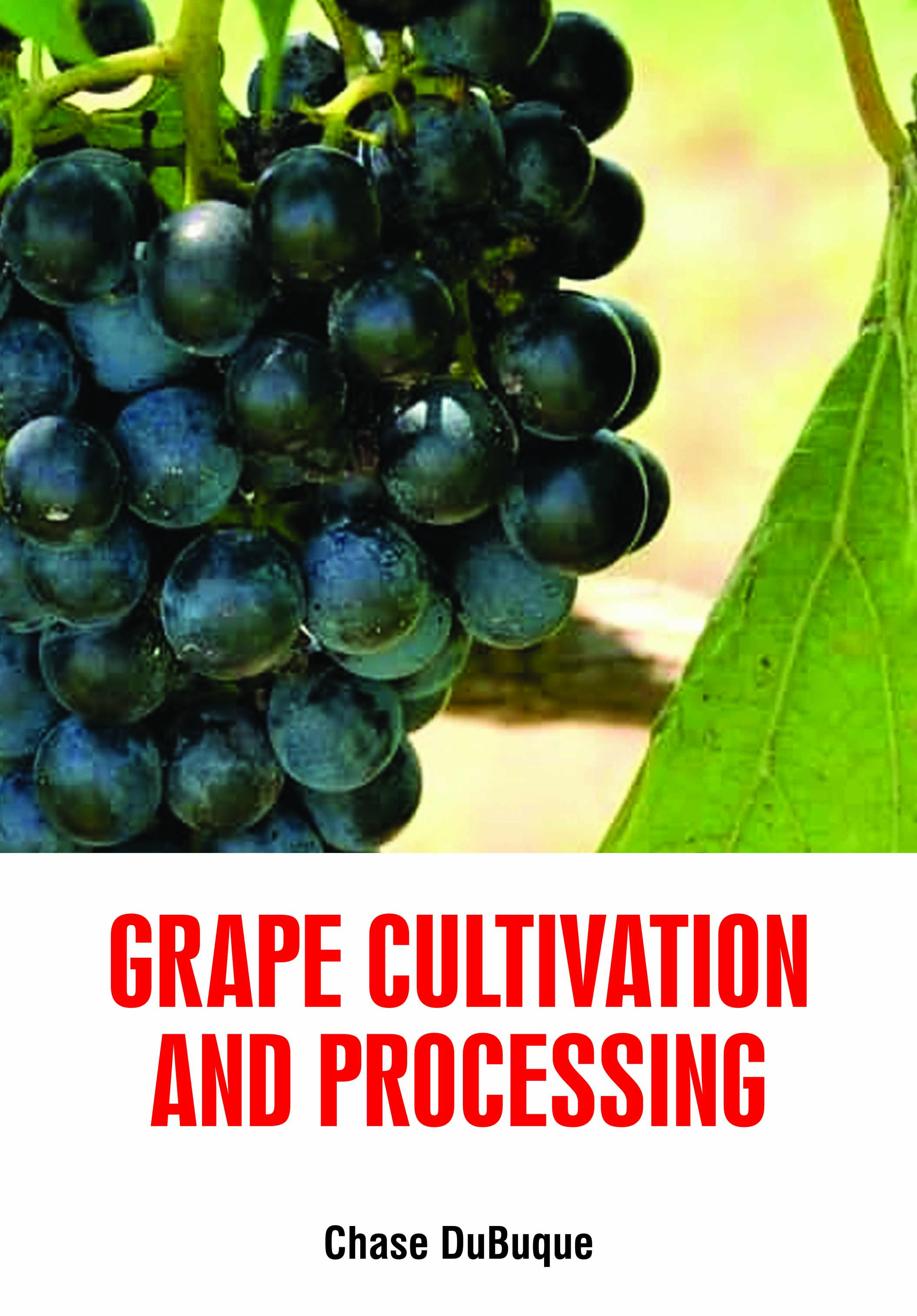 Grape Cultivation and Processing