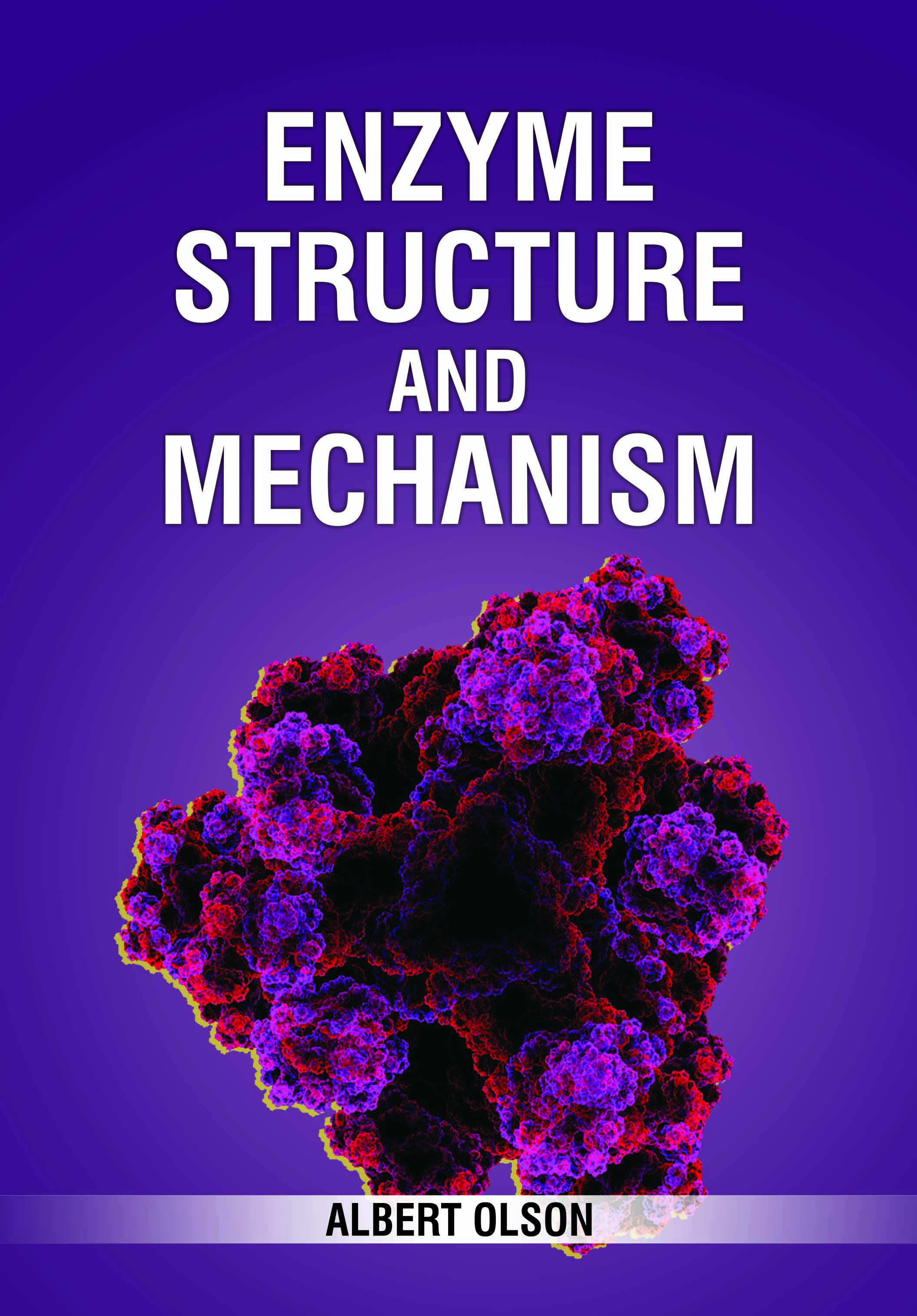 Enzyme Structure and Mechanism