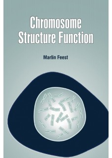 Chromosome Structure Function